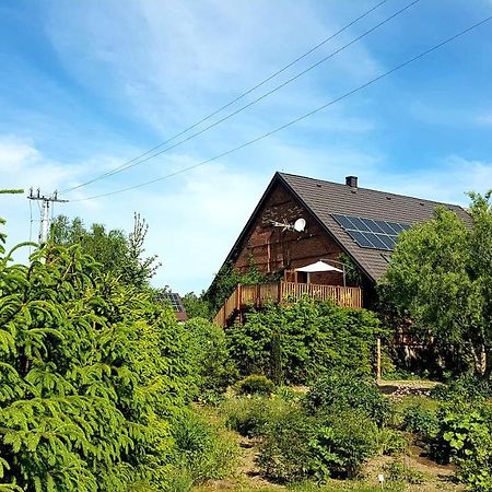 Dziewanna Apartment Brzeziniec Екстериор снимка