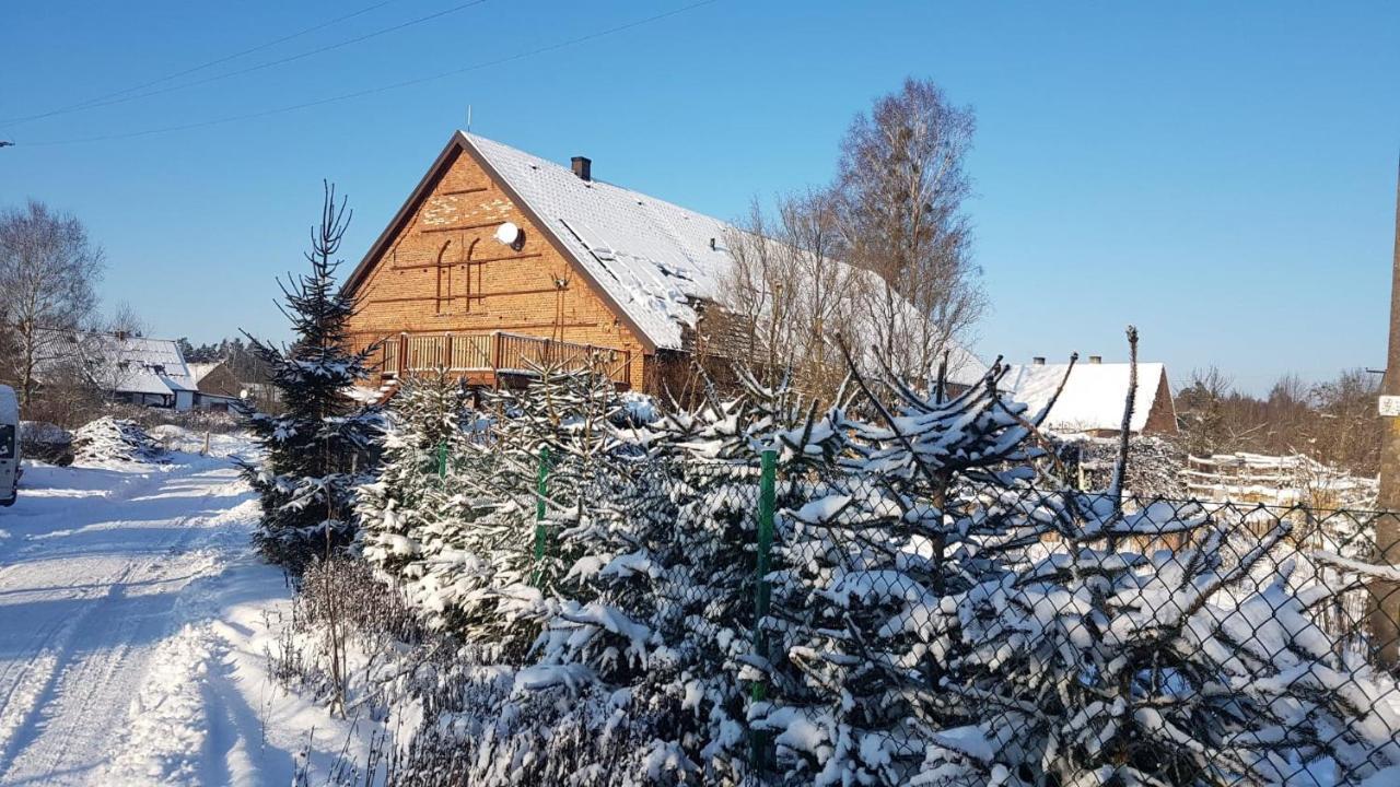 Dziewanna Apartment Brzeziniec Екстериор снимка