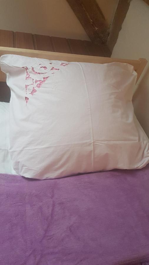 Dziewanna Apartment Brzeziniec Екстериор снимка